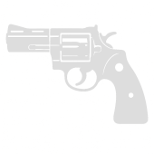 Revolvers by Frame J Frame 2" (Up to 6 rounds)